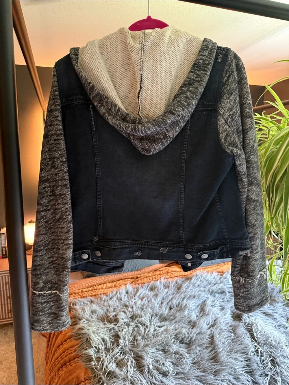 Free People stylish women’s